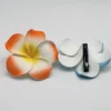 Franco Banetti Rose Clips Orange