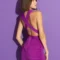 Bellerina Dress Purple 1