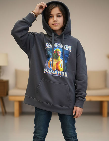 Franco Banetti Brainrot Hoodie Grey